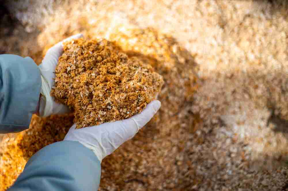 Where to Sell Sawdust: Exploring Profitable Markets