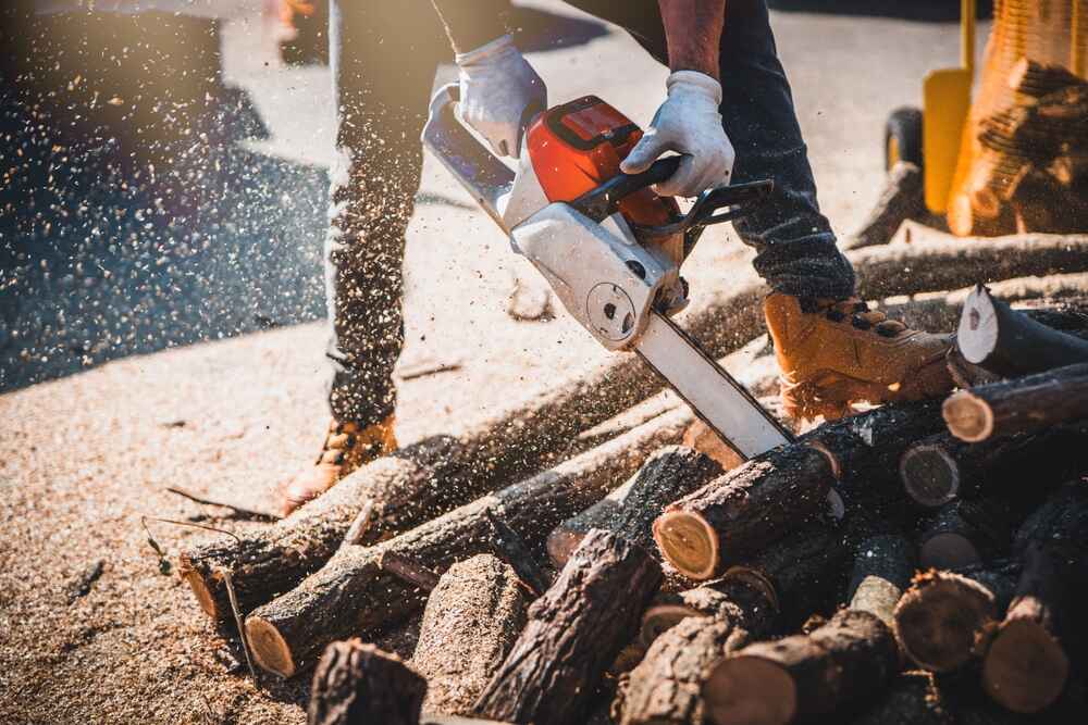 Craftsman Chainsaw Review