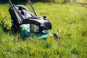 best lawn mower blades for high grass