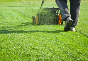 Best Mower Blades for Commercial Use: The Ultimate 2025 Guide